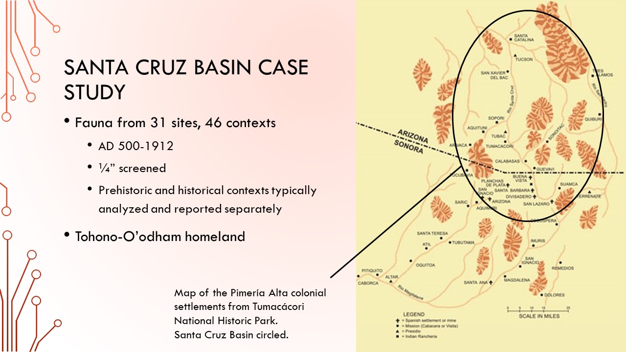 Santa Cruz Basin case study: Fauna from 31 sites, 46 contexts AD 500-1912 ¼” screened  Prehistoric and historical contexts typically analyzed and reported separately Tohono-O’odham homeland